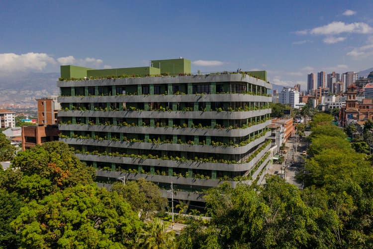Ante jardín